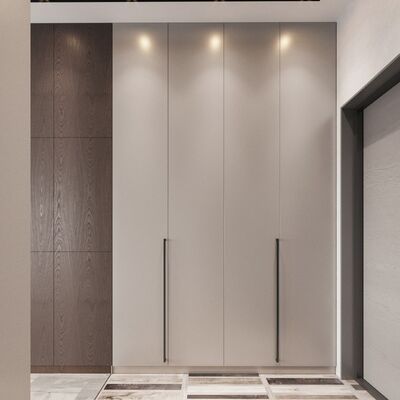 buy Modular Wooden Internal Storage Wardrobe Already Assembled Plywood online manufacturer