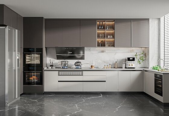 European Style Simple Design To Bake Lacquer Ambry Solid Wood Kitchen Cabinet