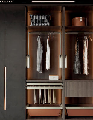 Sleek Almirah Hanger Accessories Hanging Rack Wardrobe Drawer Liner