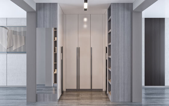 Living Room Walk In Closet Made Of Particle Board Carcass And Hettich Hardware