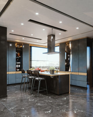 Luxurious  Kitchen Cabinets Open Space With Shaker Panel For Apartment