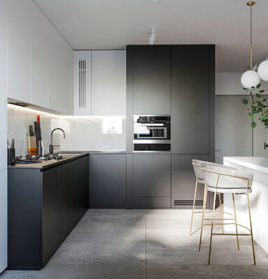 Apartment Modern Kitchen Cabinet Veneer And Lacquer Mixed Style Modern Furniture