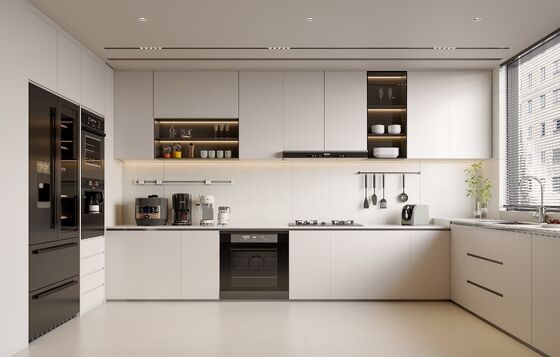 Modern Matt Lacquer Kitchen Furniture Cheap Custom Cupboard Kitchen Cabinets