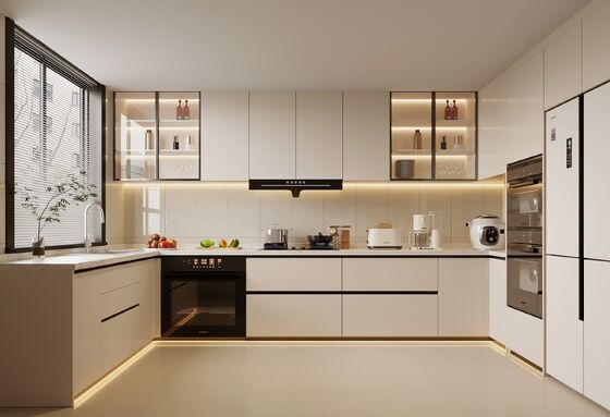 Environmental Friendly Cabinets Storage Cupboard Kitchen Cabinet