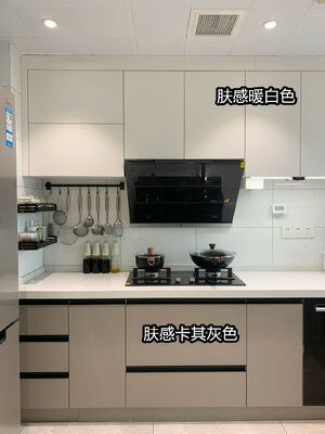 Kitchen Cabinet Door Shutter Panels Widens Steel Indoor House Kitchen Cabinet