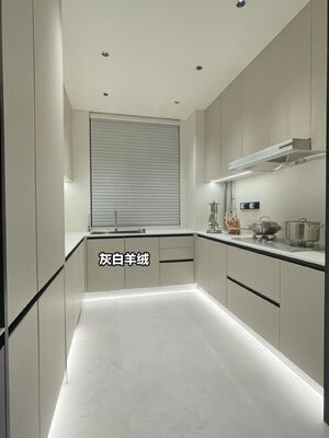Playwoods Modern Design Accessories Pantry Kitchen Cabinet Apartment