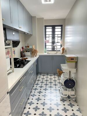 Modular Kitchen Cabinet Design With Rta Lacquer Finish For Residence