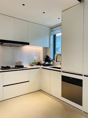 Plywood Door Material Modern Commercial Furniture Ready Made Kitchen Cabinets