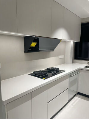 Modern Kitchen Cabinet with Marble Countertop for Apartments