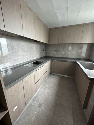 Custom Modern Kitchen Cabinet with Anti-Fingerprint Pet Film