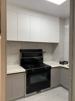 Custom Modern Kitchen Cabinet with Anti-Fingerprint Pet Film