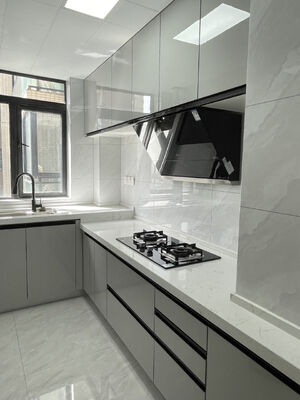 Custom Shaker Style Particle Board Kitchen Cabinets in Vibrant Colors
