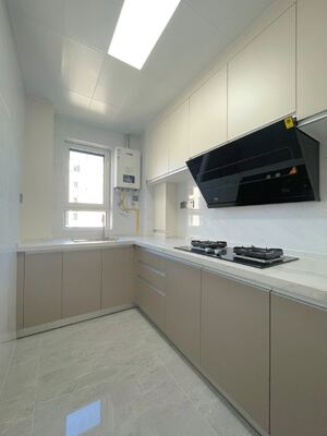 Modern Shaker Kitchen Cabinet Set with Soft Close Hinges
