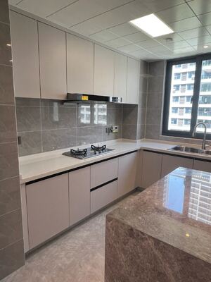 Modern Shaker Kitchen Cabinet Set with Soft Close Hinges
