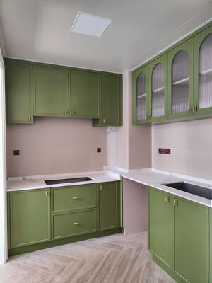 Modern Kitchen Cabinet with Melamine Plywood Customizable Design