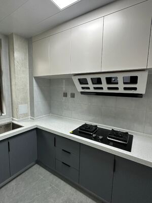 Modern Kitchen Cabinet with Premium Fittings and Custom Materials
