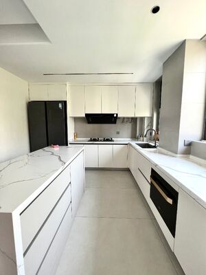 Modern Kitchen Cabinet with Quartz Countertop and Faucet