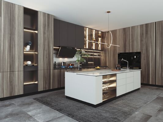 Custom Modern Kitchen Cabinets Modular Design for Residence Hotel