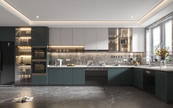 Modern Kitchen Cabinet with Customized Color and Durable Materials