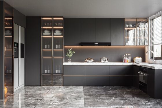 Modular Kitchen Cabinet Sets MDF Plywood for Apartments Hotels