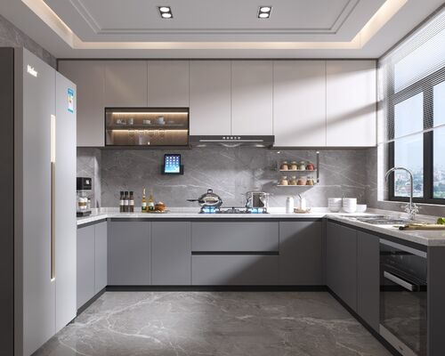 Modern Kitchen Cabinet with 3D Model Design Quartz Countertop and Blum Hardware