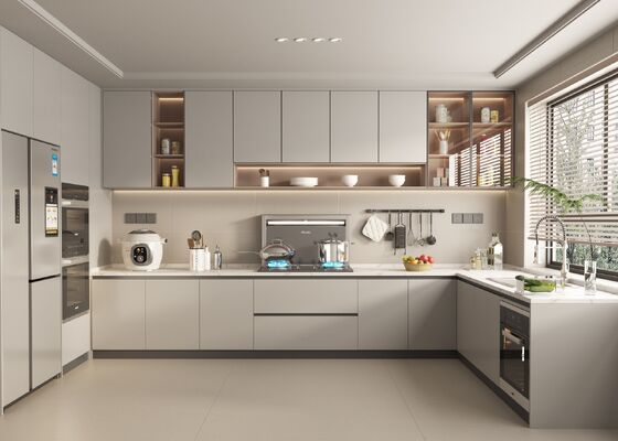 Hotel Modern Shaker Kitchen Cabinets Customizable Plywood Systems Eco-Friendly